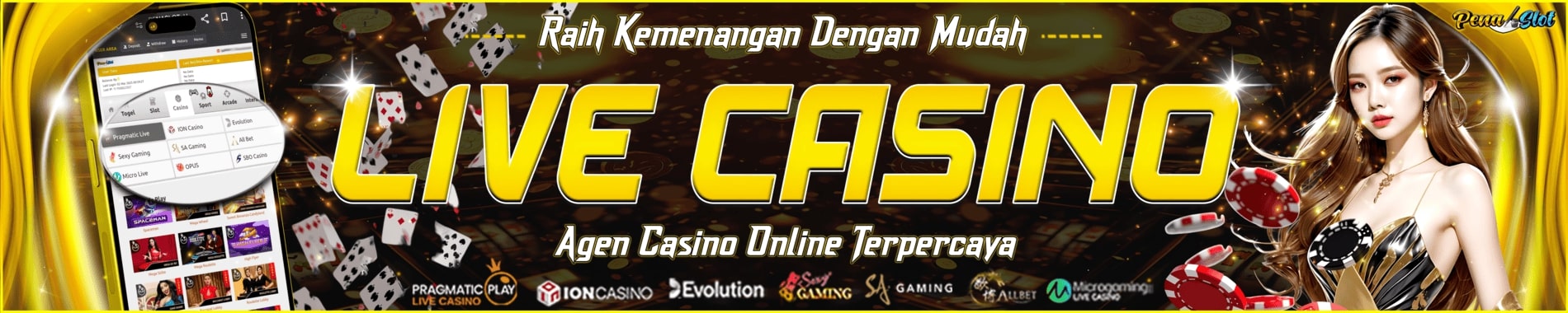 BANNER CASINO PENASLOT